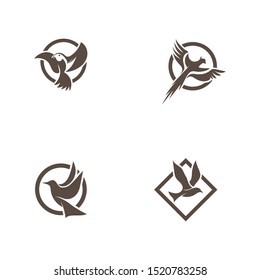 Bird fly  Logo Template vector illustration design