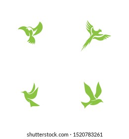 Bird fly  Logo Template vector illustration design