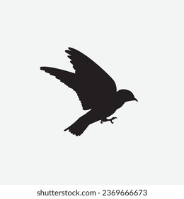 Bird fly vector image art