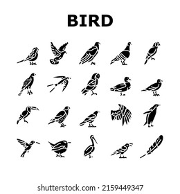 Bird Flying Animal With Feather Icons Set Vector. Toucan And Duck, Penguin And Swallow, Pigeon And Parrot Bird. Owl And Wren, Colibri And Raven, Eagle Hawk Wing Glyph Pictograms Black Illustrations