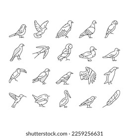 Bird Flying Animal With Feather Icons Set Vector. Toucan And Duck, Penguin And Swallow, Pigeon And Parrot Bird. Owl And Wren, Colibri And Raven, Eagle And Hawk Wing Black Contour Illustrations