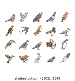 Bird Flying Animal With Feather Icons Set Vector. Toucan And Duck, Penguin And Swallow, Pigeon And Parrot Bird. Owl And Wren, Colibri And Raven, Eagle And Hawk Wing Color Illustrations