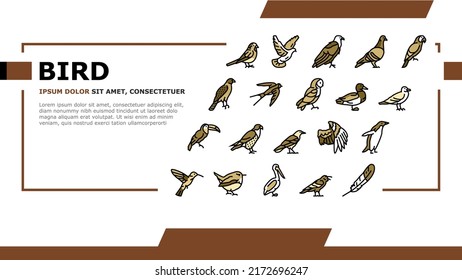Bird Flying Animal With Feather Landing Web Page Header Banner Template Vector. Toucan And Duck, Penguin And Swallow, Pigeon And Parrot Bird. Owl Wren, Colibri And Raven, Eagle Hawk Wing Illustration
