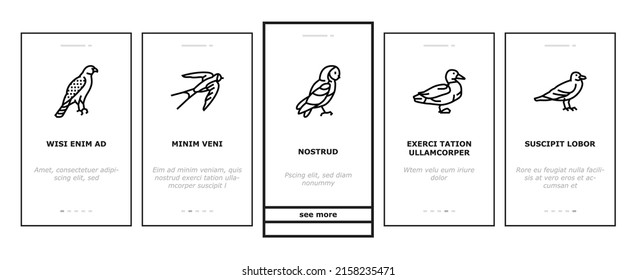 Bird Flying Animal With Feather Onboarding Mobile App Page Screen Vector. Toucan And Duck, Penguin And Swallow, Pigeon And Parrot Bird. Owl And Wren, Colibri And Raven, Eagle Hawk Wing Illustrations