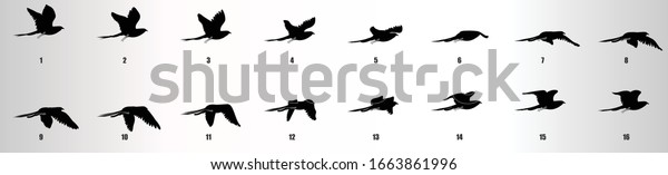 Bird flying animation sequence silhouette, loop\
animation sprite sheet