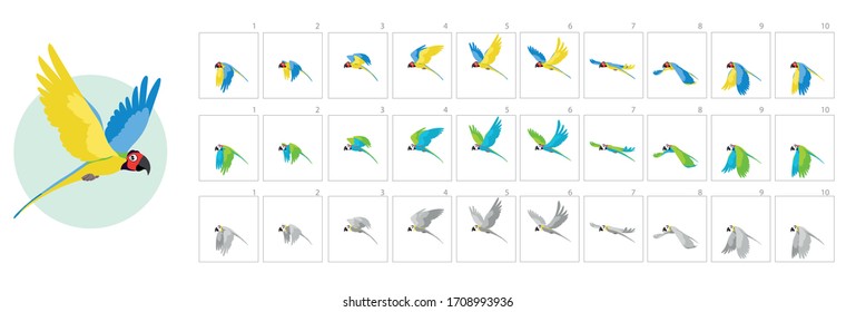 Bird flying Animations. Parrot flying Animations sprit sheet for games, crtoon or video. Set of Sprite bird flies.-vector
