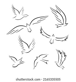 The bird is flying. Black outline, line. Vector logo set.
