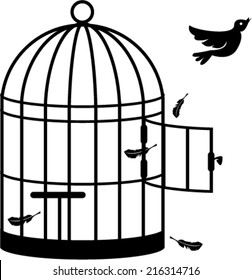 Bird Flying From Cage