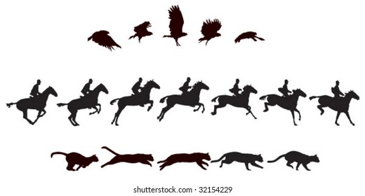 bird flying, cat, horse (w/removable rider) jumping. See #31645087 for more sequences