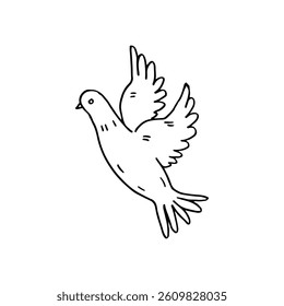Bird flying, dove or other bird, doodle cartoon vector hand-drawn.