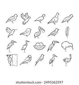 Bird Flying And Eggs In Nest Icons Set Vector. Toucan And Eagle, Crane And Pelican, Sparrow And Stork Flight Bird. Hummingbird And Woodpecker Wildlife In Nature Black Contour Illustrations