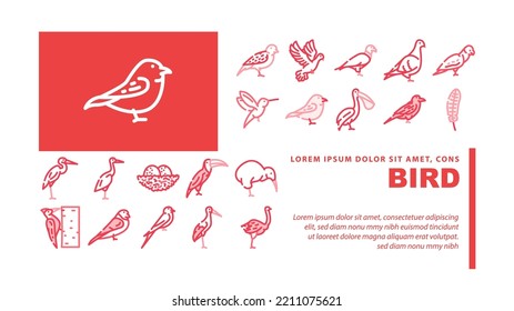 Bird Flying And Eggs In Nest Landing Web Page Header Vector. Toucan And Eagle, Crane And Pelican, Sparrow And Stork Flight Bird. Hummingbird And Woodpecker Wildlife In Nature Color Illustrations