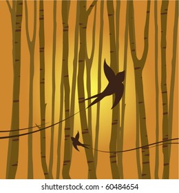 bird flying in the forest