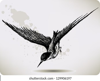 Bird flying, hand-drawing. Vector illustration.