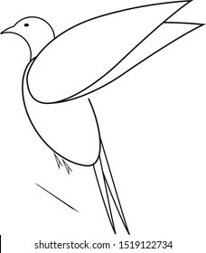 bird flying icon and vector to work your design image, to create illustrations, artistic works