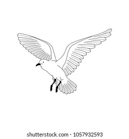 bird flying. illustration vector. hand drawing line art of animal. bird isolated line on white background. symbol of freedom. tattoo design.
