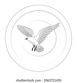 bird flying. illustration vector. hand drawing line art of animal. bird isolated line on white background. symbol of freedom. tattoo design. circle of life.