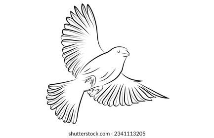 Bird flying line art  Black and white illustration.