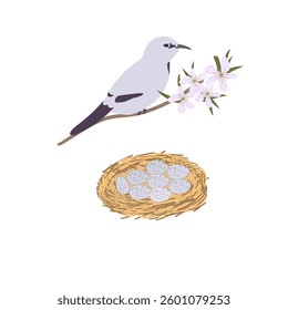 Bird flying to nest with eggs isolated on white background. Vector illustration