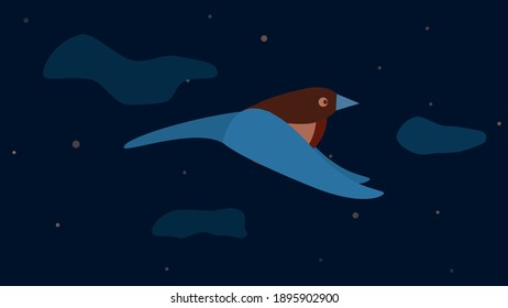 The bird is flying in the night starry sky. Vector illustration