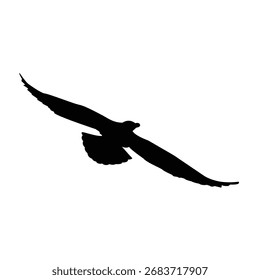 Un pájaro que vuela en el Vector de la línea del cielo abierto