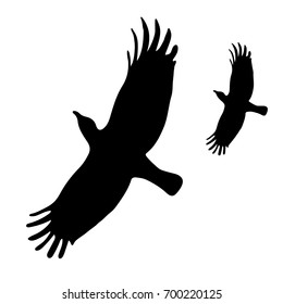 Bird flying open wings gliding in the sky silhouette logo