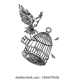 Bird flying out of the cage. Sketch. Engraving style. Vector illustration.
