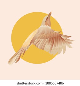 The bird flying pose impossibly showy beak exotic. Hand drawn illustration images good for wall decoration, wallpaper and element of design product