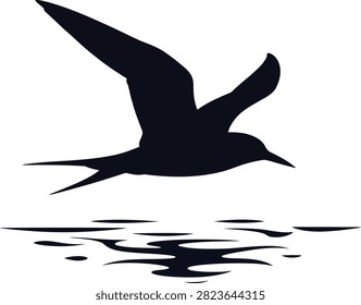 Bird, flying, reflection, water, nature, wildlife, freedom.