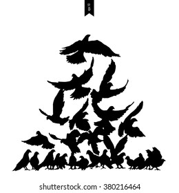 Bird flying silhouette 