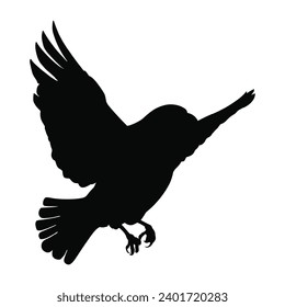 Bird flying silhouette on white