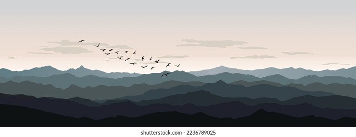 Bird flying silhouette over hills and sky background. Animal wildlife mountain skyline. Rural nature  landscape.