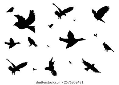 Bird flying silhouette of vector illustration