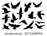 Bird flying silhouettes set isolated flat vector illustration on white background
