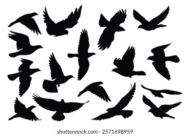 Bird flying silhouettes set isolated flat vector illustration on white background