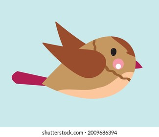 Bird flying in the sky. Cute sparrow. Small bird. 