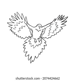 Bird flying with spread wings in the air, hand drawn colored outline illustration. Colorful feather animal flying free in the sky, single pen drawing symbol. Pigeon in a fly, silhouette decoration.