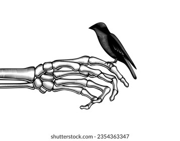 Un pájaro con alas dobladas se sienta en la mano de un esqueleto. El tema de la conservación de la naturaleza. Dibujo estilizado de grabado de época. Ilustración del vector