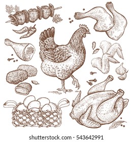 Bird And Food Objects. Sketch Of Poultry Hen. Split Carcass Of Chicken, Wings, Legs, Skewers Of Chicken, Nuggets, Basket Eggs Isolated On White Background. Style Vintage Engraving. Hand Drawing Vector