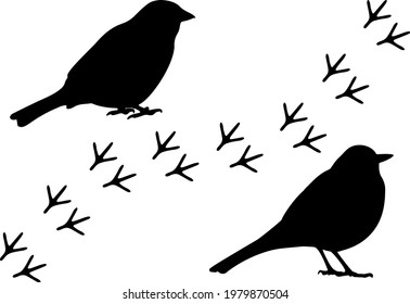 Bird footprint and bird in the set. Vector image.