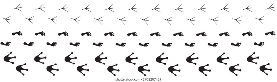 Vector de patrón de huellas de pájaro | Pistas de animales Seamless Border | Wildlife Trail Silhouette Diseño decorativo