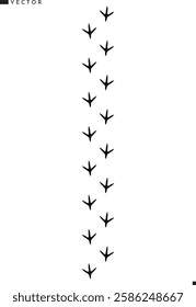 Bird footprints silhouette. Peacock footprints vector illustration