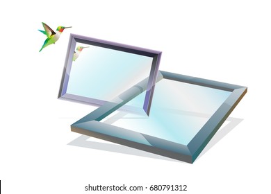 Bird and frame,the freedom on white background