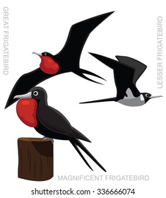Bird Frigatebird Set Cartoon Vector Illustration