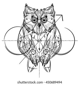 Vectores Imágenes Y Arte Vectorial De Stock Sobre Owl