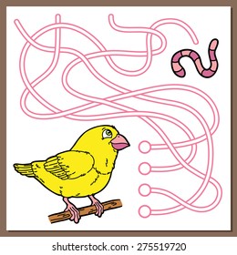 Bird game. Vector illustration of maze(labyrinth) game with cute cartoon bird for children