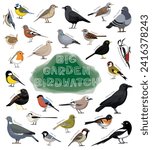 Bird Garden Birdwatch Species Set Cartoon Vector