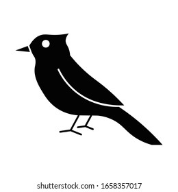 Bird with glyph icon vector