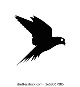 Bird with glyph icon vector