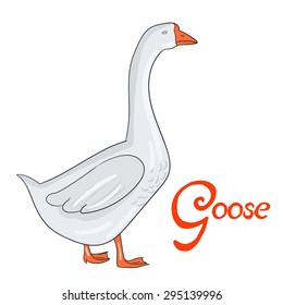 Bird goose vector illustration